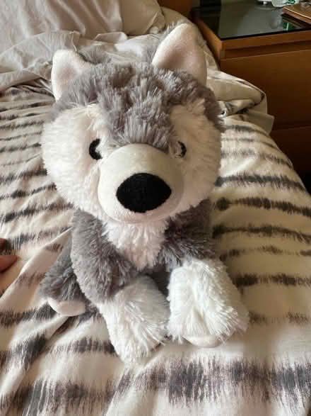 Photo of free Warming Cuddly toy (Goffs Oak EN7) #1