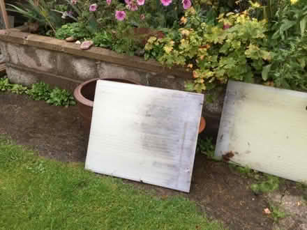 Photo of free Plastic roofing sheets (Westbury on Trym BS9) #1