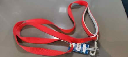 Photo of free Brand new dog lead (Addiscombe CR0) #2