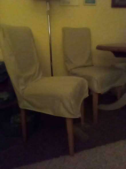 Photo of free Dining chairs X 2 (Bognor Regis PO21) #1