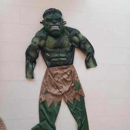 Photo of free Hulk fancy dress/Hallowe'en costume (Woodford E18) #1