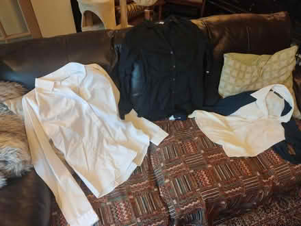 Photo of free Women's shirts size small (EH20 Loanhead) #1
