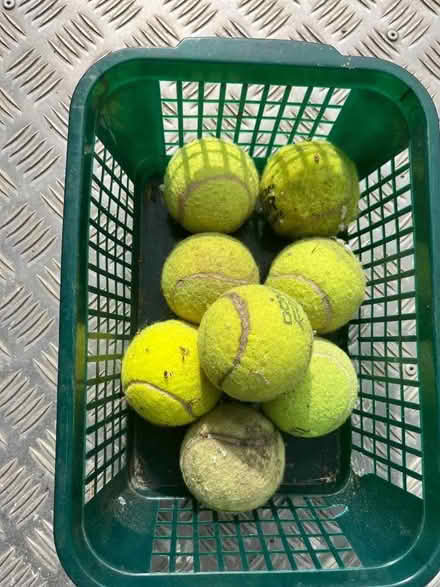 Photo of free Old tennis balls (Bush EX23) #1