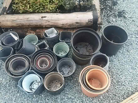 Photo of free Plant pots (Guildford GU4) #1