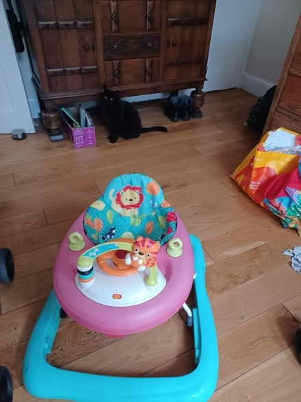 Photo of free Baby walker (Pittville GL52) #1