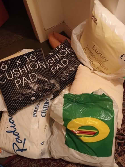 Photo of free Cushion pads (Torrance G64) #1
