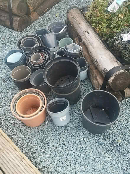 Photo of free Plant pots (Guildford GU4) #2