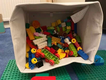 Photo of free Loads of duplo plus green bases (Tring HP23) #2