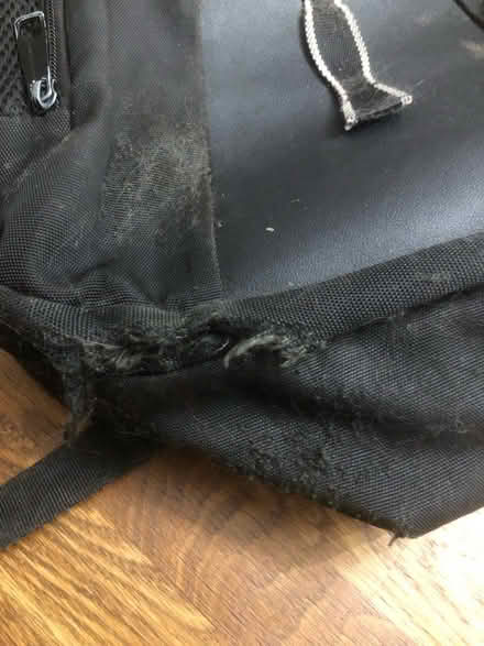 Photo of free Rucksack (Park street, AL2) #2