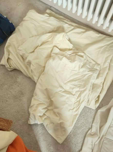 Photo of free Single Bed Brushed Cotton Bedlinen (Caerwys) #1