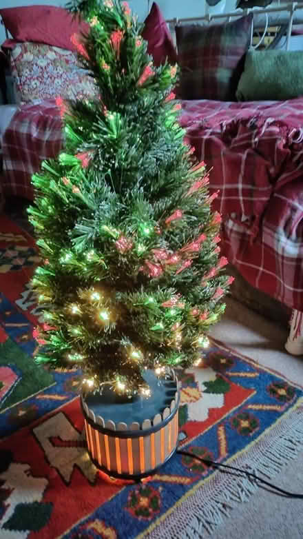Photo of free Small Christmas tree (Brompton-on-Swale DL10) #2