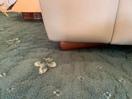Photo of free Cream Leather Sofa Set (Chingford) #2