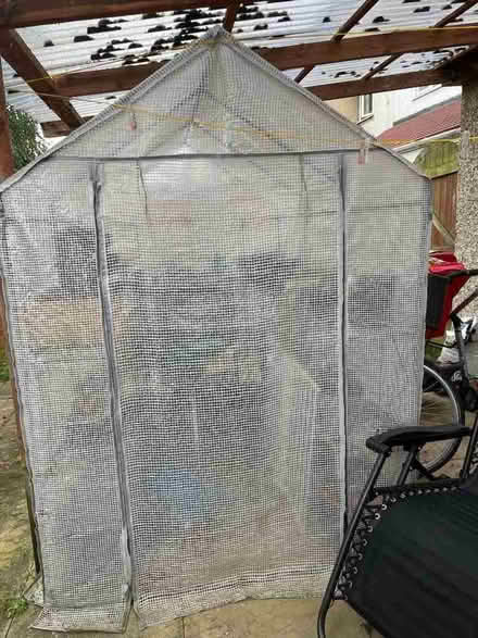 Photo of free Plastic greenhouse with shelving inside (New Marston OX3) #1