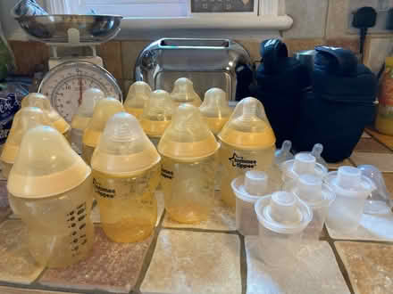 Photo of free Tommee Tippee bottles (Shepperton TW17) #1