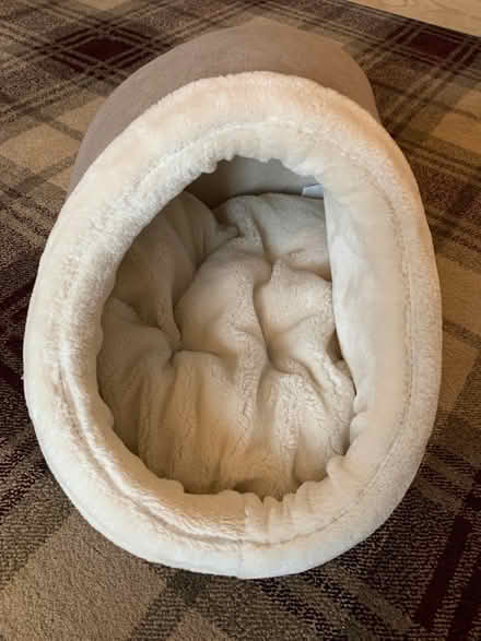 Photo of free Cat / small dog bed (NE24 South Beach, Blyth) #2