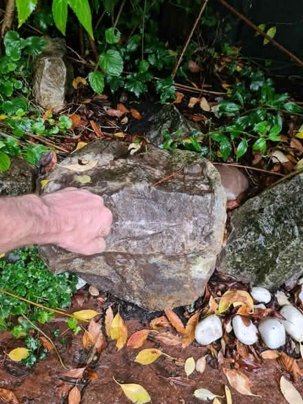 Photo of free Rockery rocks (Maidenhead) #3