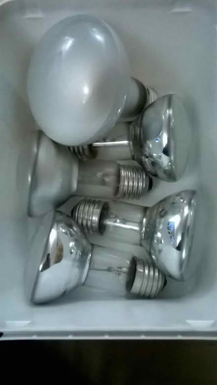 Photo of free Incandescent light bulbs (Horspath OX33) #1