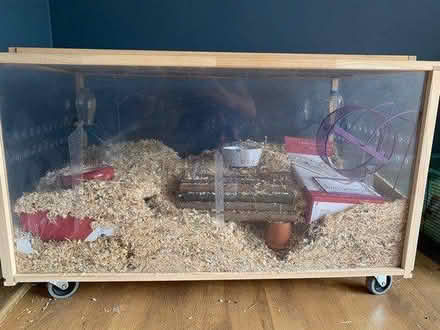 Photo of free Amazing Gerbil or Hamster cage (HG2) #3