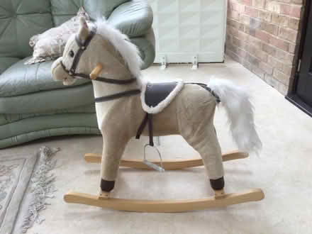 Photo of free Rocking pony for small child (Draycott GL11) #1