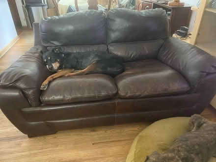 Photo of free Used leather loveseat (North Lakewood) #2