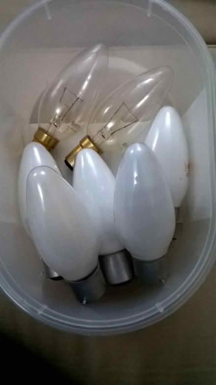 Photo of free Incandescent light bulbs (Horspath OX33) #2
