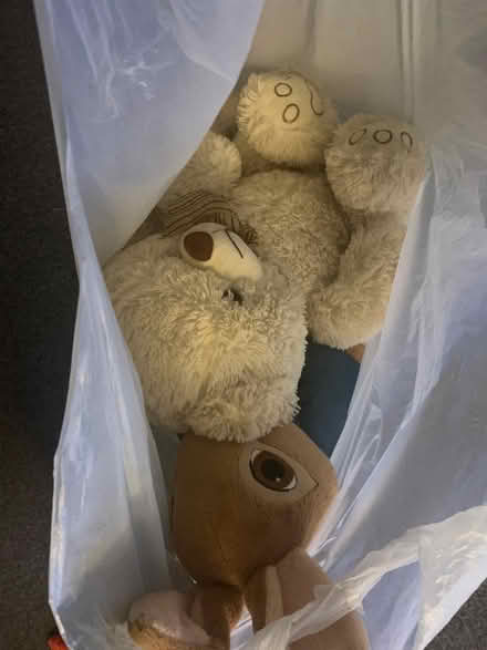 Photo of free Bag of teddies (County Bridge WS2) #1