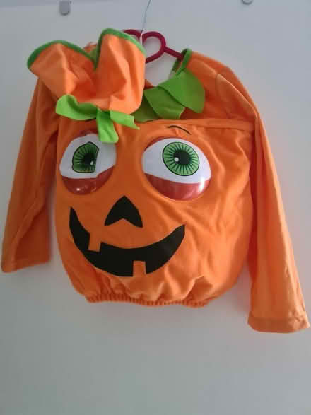 Photo of free Pumpkin outfit aged 5-6 (Great Ashby SG1 6) #1