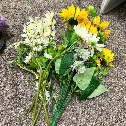 Photo of free Decorative flowers (Belleville) #1