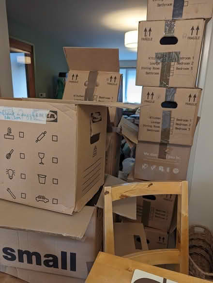 Photo of free Packing boxes - about 20 (North West Edinburgh EH4) #1