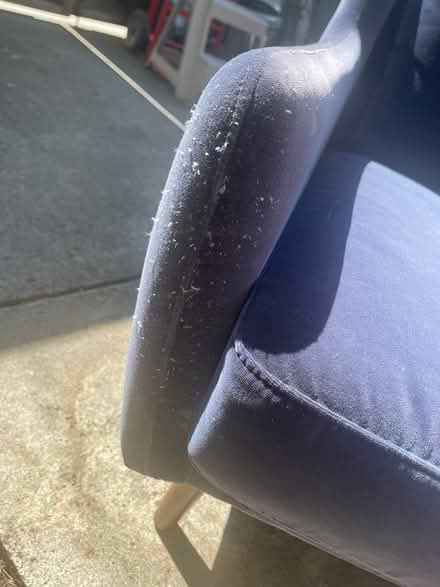 Photo of free Chair (DT North palo alto) #4