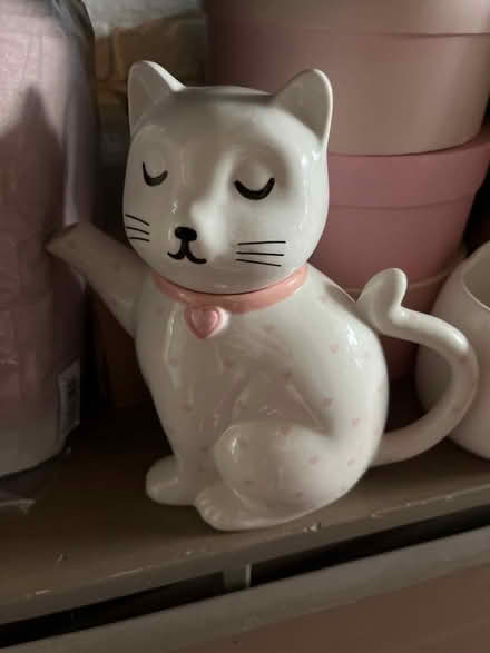 Photo of free Cat teapot and mug (Witham CM8) #1