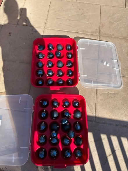 Photo of free Christmas decorations (Ripon) #2