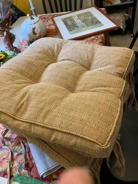 Photo of free kitchen chair cushions with ties (Rockaway Township) #1