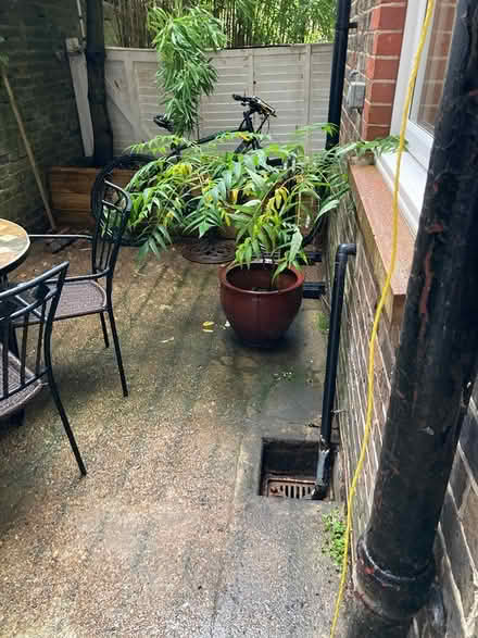 Photo of free Outdoor plants and pots (Preston Park BN1) #1