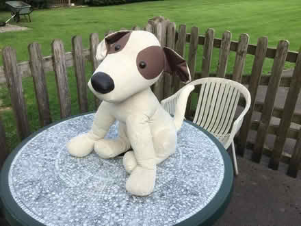 Photo of free Snoopy toy. Stuffed with polyester. From Pets at Home. (Draycott GL11) #2