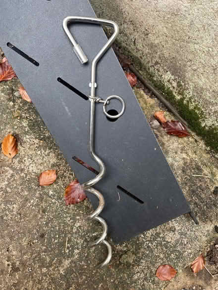 Photo of free Tie down for your dog (Compton Martin BS40) #1