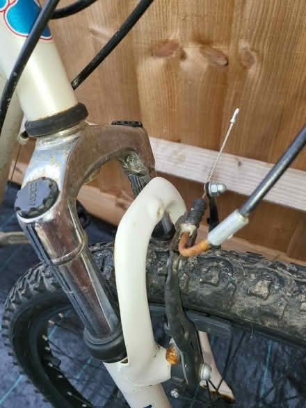 Photo of free Muddyfox mountain bike gents (shackleton village CV37) #3