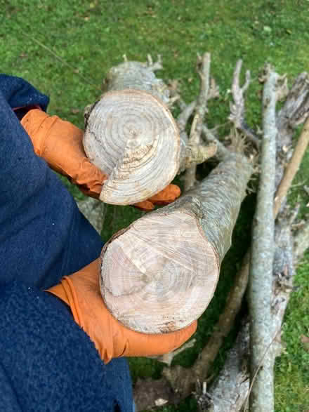 Photo of free Firewood (Prestwood HP16) #2
