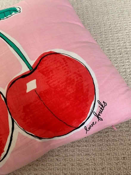 Photo of free Pink cushion (CR0) #3