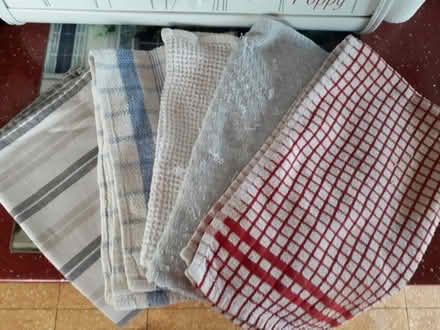 Photo of free Old clean tea towels (Leckhampton GL53) #1