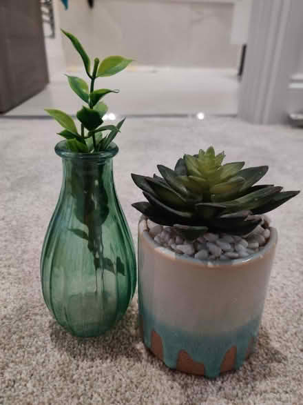 Photo of free Fake plants (Hoddesdon) #2
