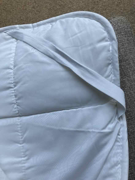 Photo of free Teddy Bear Mattress Cover (Willingdon BN20) #1