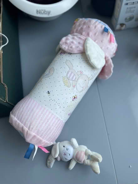 Photo of free Baby toy (SE23) #1