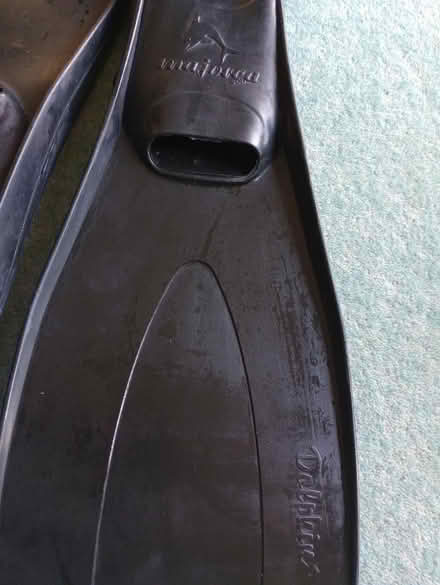 Photo of free Flippers (Beaconsfield HP9) #1