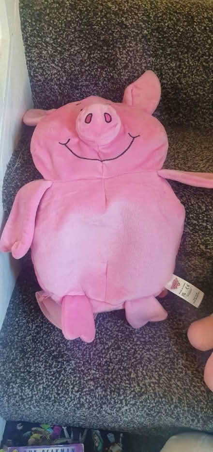 Photo of free Pig bag (CB4) #1