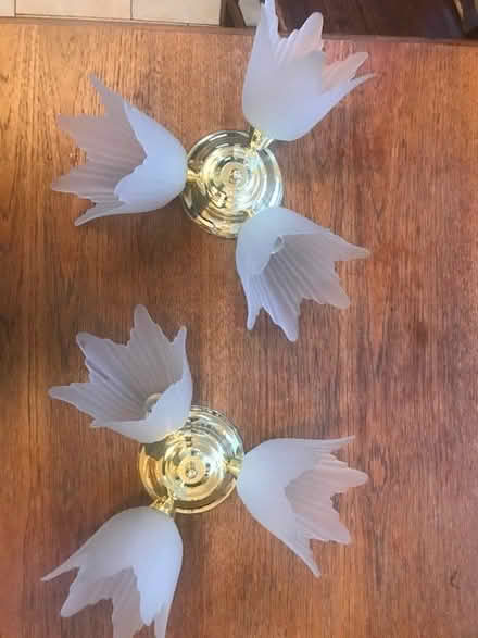 Photo of free Ceiling light fittings (Oxford OX4, near Iffley Road) #1