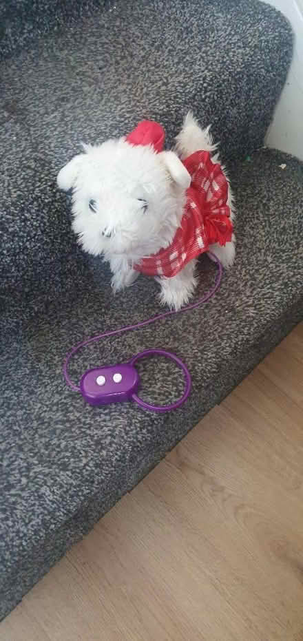 Photo of free Dog toy with lead (CB4) #1