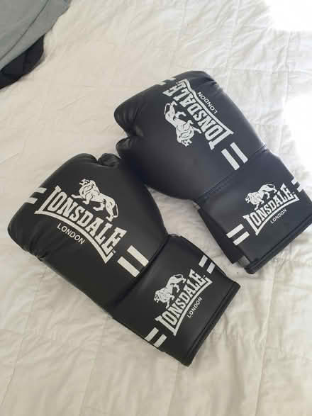 Photo of free Boxing gloves (Wickford SS12 (Wick meadows)) #1