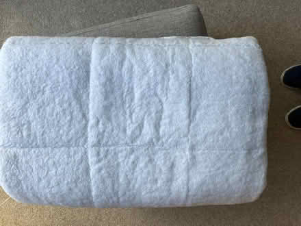 Photo of free Teddy Bear Mattress Cover (Willingdon BN20) #2