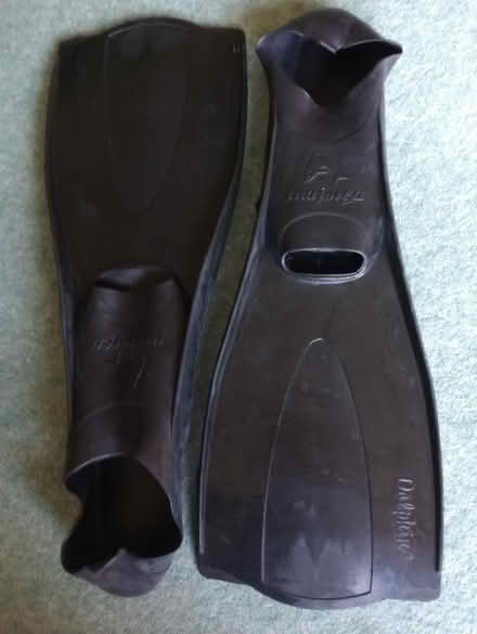 Photo of free Flippers (Beaconsfield HP9) #3